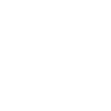 Illustrated house icon